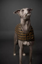 BARKA Dog Coat *less than 1m