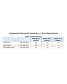 Cashmerette Somerville Sports Bra PDF pattern