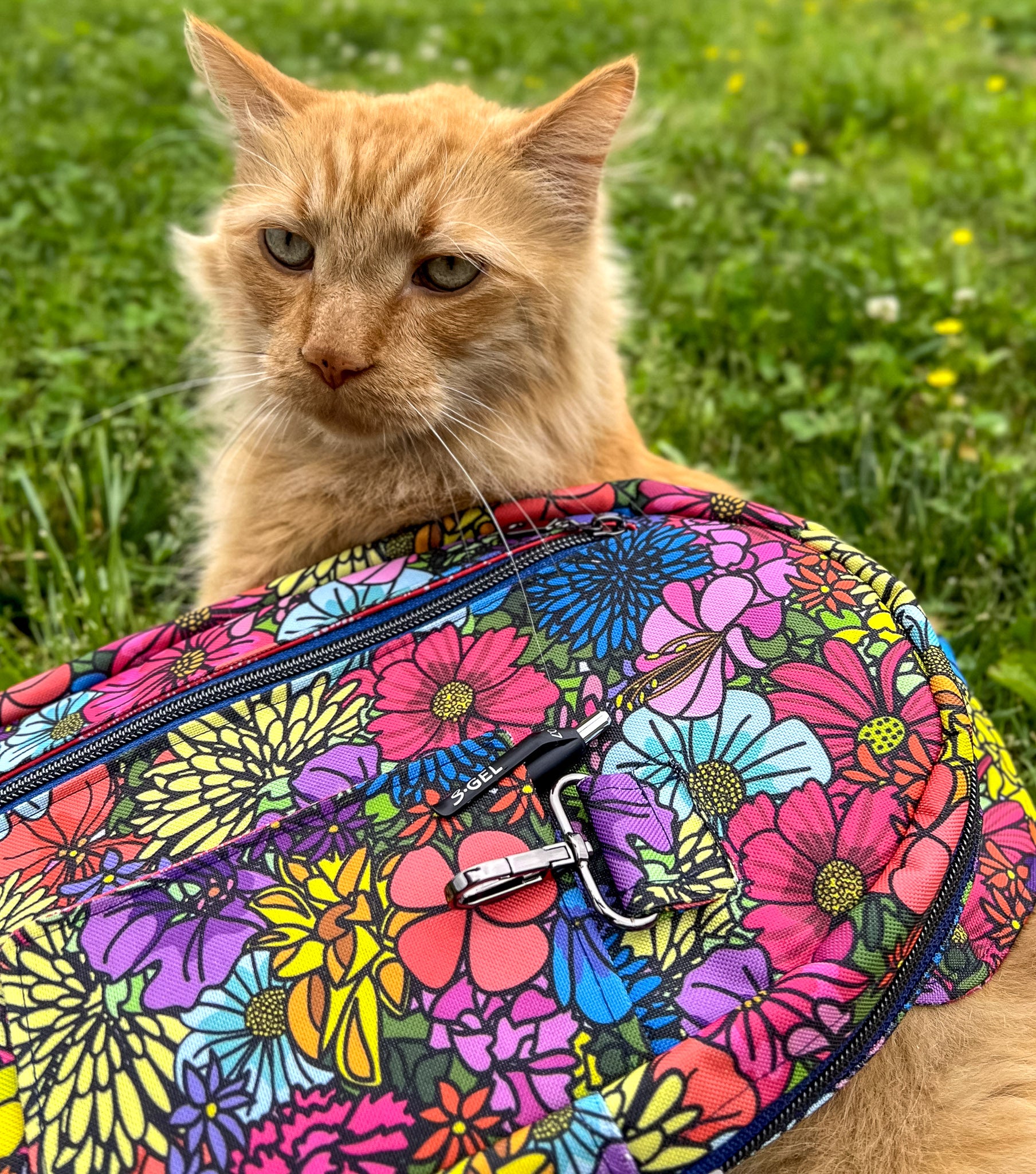 Sonata Sling Bag & Backpack